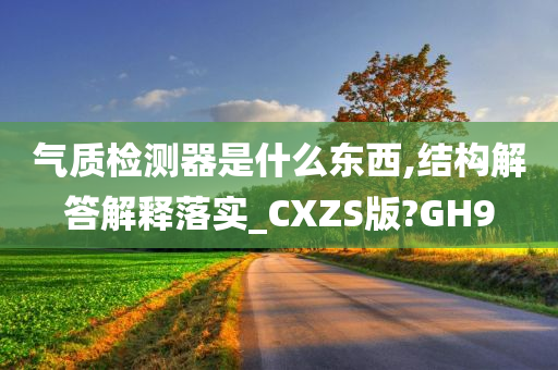 气质检测器是什么东西,结构解答解释落实_CXZS版?GH9