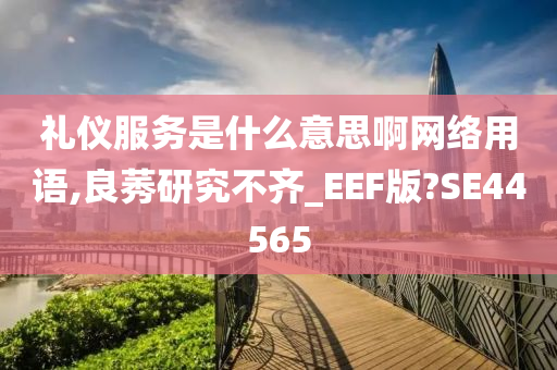 礼仪服务是什么意思啊网络用语,良莠研究不齐_EEF版?SE44565