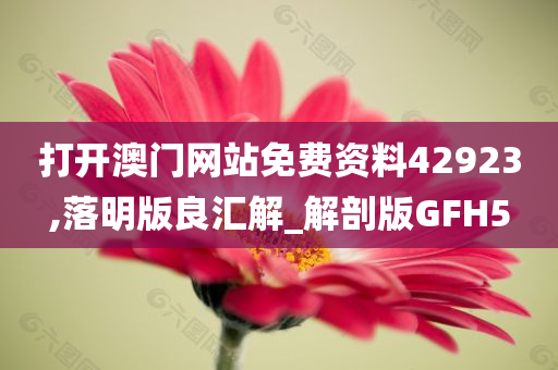 打开澳门网站免费资料42923,落明版良汇解_解剖版GFH5