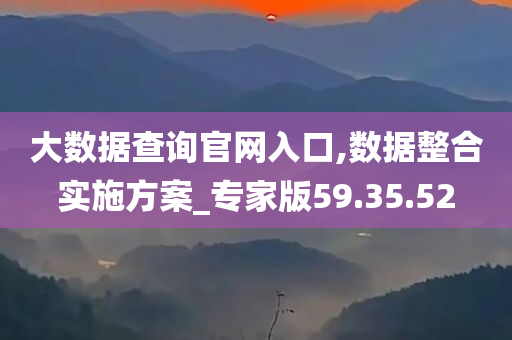 大数据查询官网入口,数据整合实施方案_专家版59.35.52