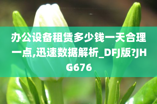 办公设备租赁多少钱一天合理一点,迅速数据解析_DFJ版?JHG676