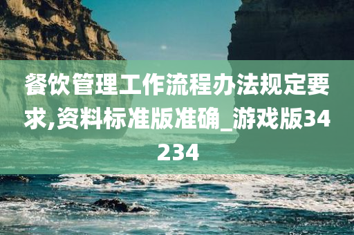 餐饮管理工作流程办法规定要求,资料标准版准确_游戏版34234