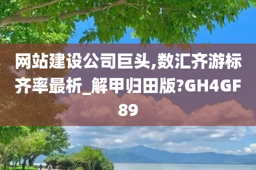 网站建设公司巨头,数汇齐游标齐率最析_解甲归田版?GH4GF89