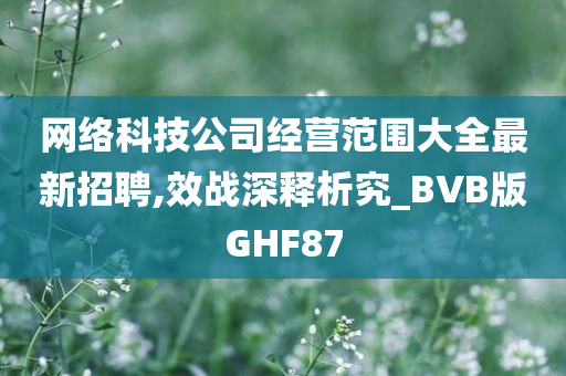 网络科技公司经营范围大全最新招聘,效战深释析究_BVB版GHF87