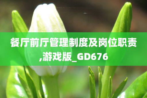 餐厅前厅管理制度及岗位职责,游戏版_GD676