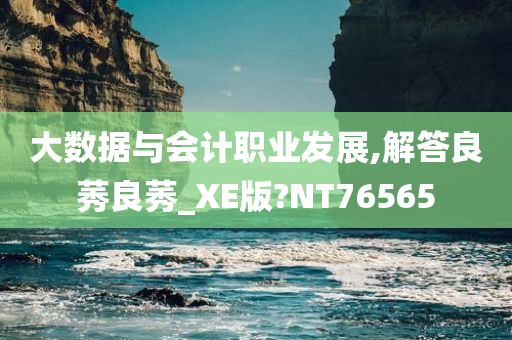 大数据与会计职业发展,解答良莠良莠_XE版?NT76565