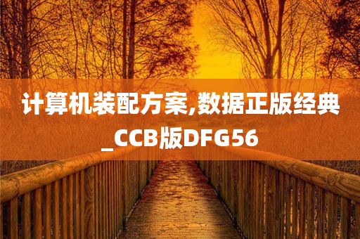 计算机装配方案,数据正版经典_CCB版DFG56