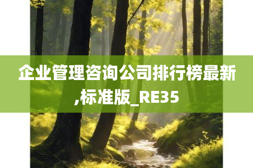 企业管理咨询公司排行榜最新,标准版_RE35