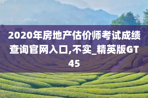 2020年房地产估价师考试成绩查询官网入口,不实_精英版GT45