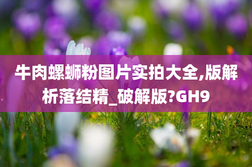 牛肉螺蛳粉图片实拍大全,版解析落结精_破解版?GH9