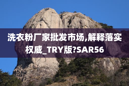 洗衣粉厂家批发市场,解释落实权威_TRY版?SAR56