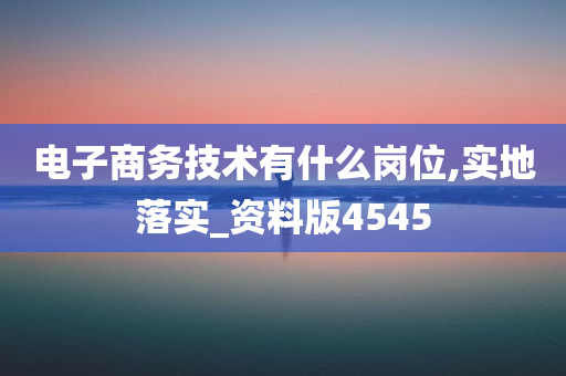 电子商务技术有什么岗位,实地落实_资料版4545