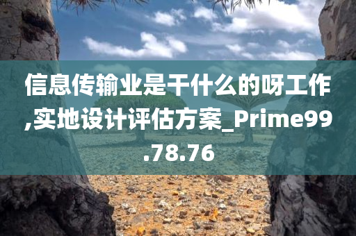 信息传输业是干什么的呀工作,实地设计评估方案_Prime99.78.76