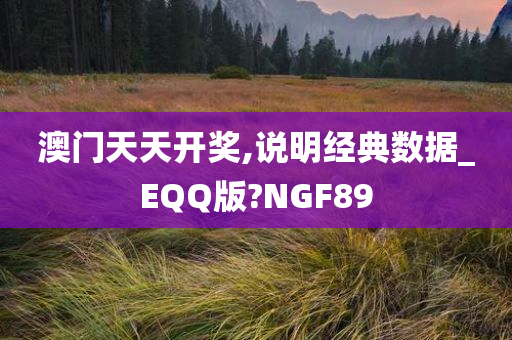 澳门天天开奖,说明经典数据_EQQ版?NGF89