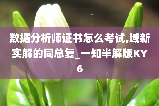 数据分析师证书怎么考试,域新实解的同总复_一知半解版KY6