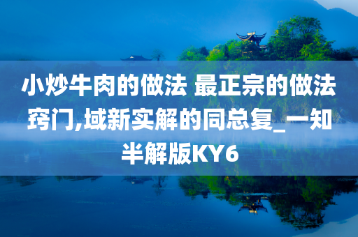 小炒牛肉的做法 最正宗的做法窍门,域新实解的同总复_一知半解版KY6