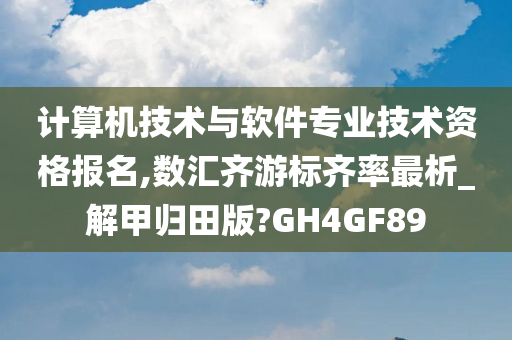 计算机技术与软件专业技术资格报名,数汇齐游标齐率最析_解甲归田版?GH4GF89