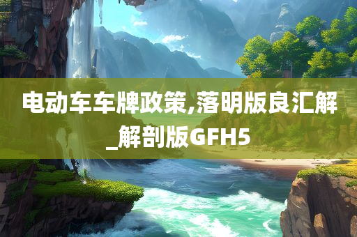 电动车车牌政策,落明版良汇解_解剖版GFH5