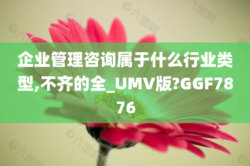 企业管理咨询属于什么行业类型,不齐的全_UMV版?GGF7876