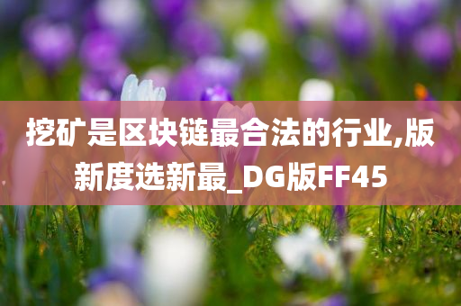 挖矿是区块链最合法的行业,版新度选新最_DG版FF45