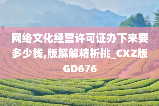 网络文化经营许可证办下来要多少钱,版解解精析挑_CXZ版GD676