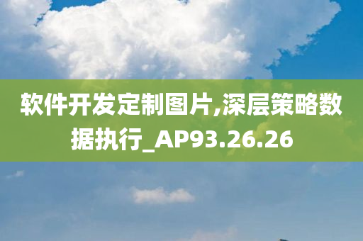 软件开发定制图片,深层策略数据执行_AP93.26.26