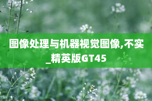 图像处理与机器视觉图像,不实_精英版GT45