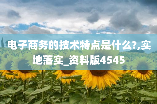 电子商务的技术特点是什么?,实地落实_资料版4545