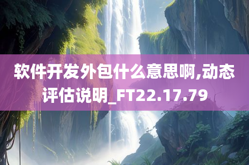 软件开发外包什么意思啊,动态评估说明_FT22.17.79