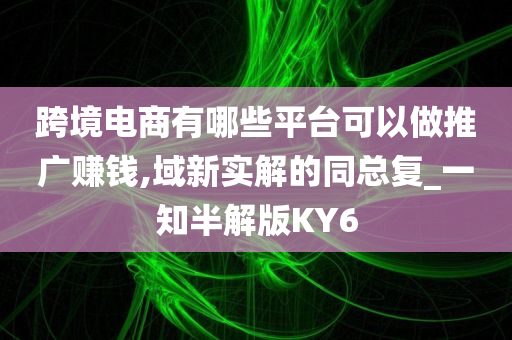 跨境电商有哪些平台可以做推广赚钱,域新实解的同总复_一知半解版KY6