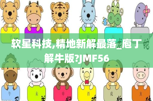 软星科技,精地新解最落_庖丁解牛版?JMF56