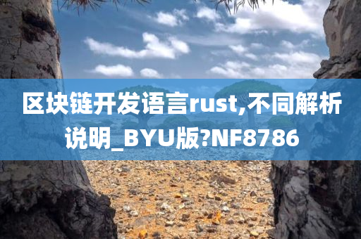 区块链开发语言rust,不同解析说明_BYU版?NF8786