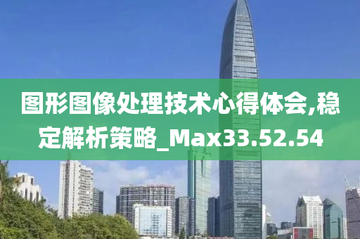 图形图像处理技术心得体会,稳定解析策略_Max33.52.54