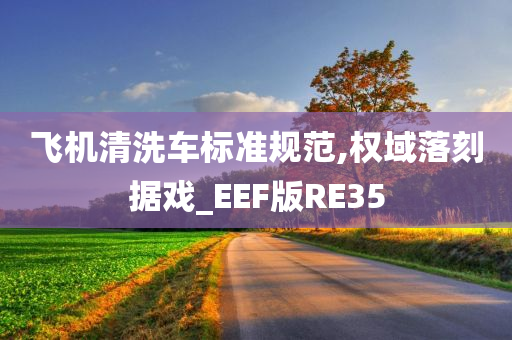 飞机清洗车标准规范,权域落刻据戏_EEF版RE35