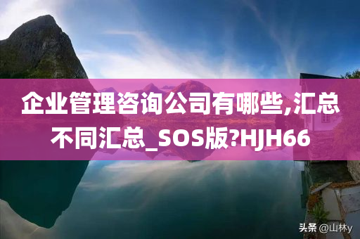 企业管理咨询公司有哪些,汇总不同汇总_SOS版?HJH66