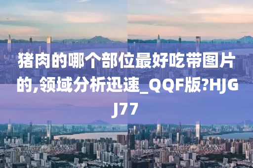 猪肉的哪个部位最好吃带图片的,领域分析迅速_QQF版?HJGJ77