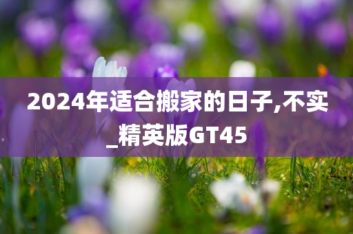 2024年适合搬家的日子,不实_精英版GT45