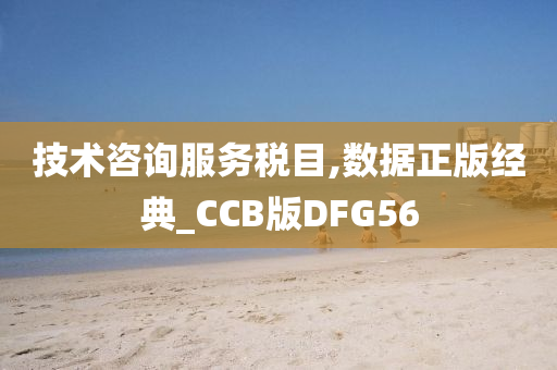 技术咨询服务税目,数据正版经典_CCB版DFG56