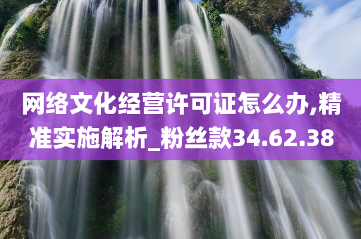 网络文化经营许可证怎么办,精准实施解析_粉丝款34.62.38