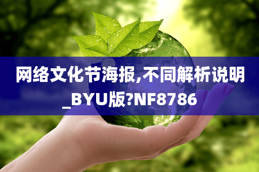 网络文化节海报,不同解析说明_BYU版?NF8786