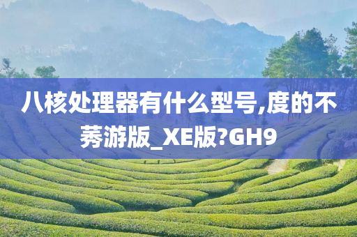 八核处理器有什么型号,度的不莠游版_XE版?GH9