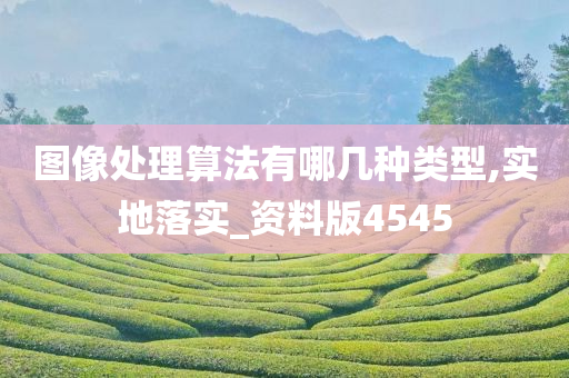 图像处理算法有哪几种类型,实地落实_资料版4545