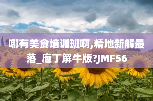 哪有美食培训班啊,精地新解最落_庖丁解牛版?JMF56