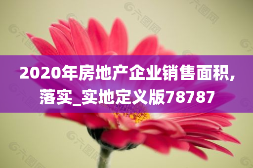 2020年房地产企业销售面积,落实_实地定义版78787