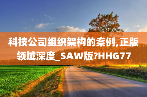 科技公司组织架构的案例,正版领域深度_SAW版?HHG77