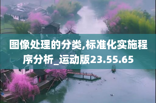 图像处理的分类,标准化实施程序分析_运动版23.55.65