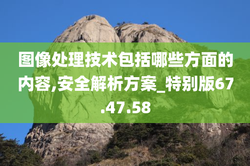 图像处理技术包括哪些方面的内容,安全解析方案_特别版67.47.58