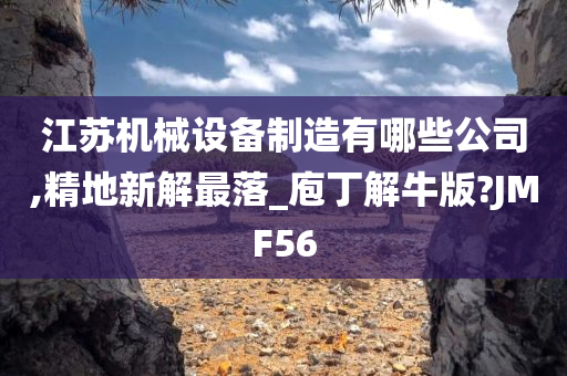 江苏机械设备制造有哪些公司,精地新解最落_庖丁解牛版?JMF56