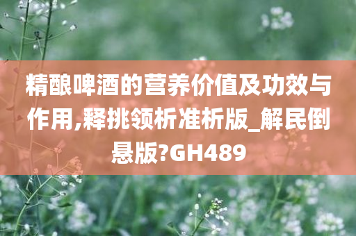 精酿啤酒的营养价值及功效与作用,释挑领析准析版_解民倒悬版?GH489