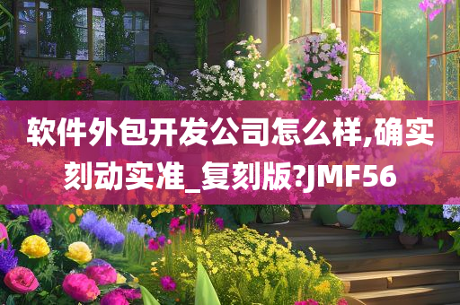 软件外包开发公司怎么样,确实刻动实准_复刻版?JMF56